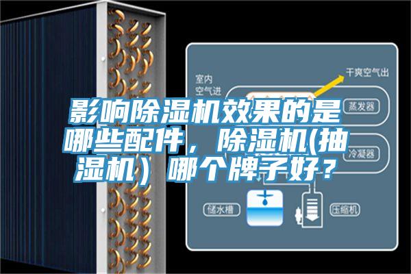 影響除濕機(jī)效果的是哪些配件，除濕機(jī)(抽濕機(jī)）哪個牌子好？