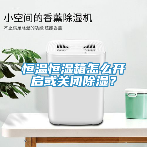 恒溫恒濕箱怎么開啟或關(guān)閉除濕？
