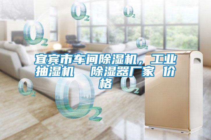 宜賓市車間除濕機(jī)，工業(yè)抽濕機(jī)  除濕器廠家 價(jià)格
