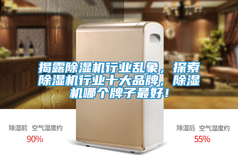 揭露除濕機行業(yè)亂象，探索除濕機行業(yè)十大品牌，除濕機哪個牌子最好！