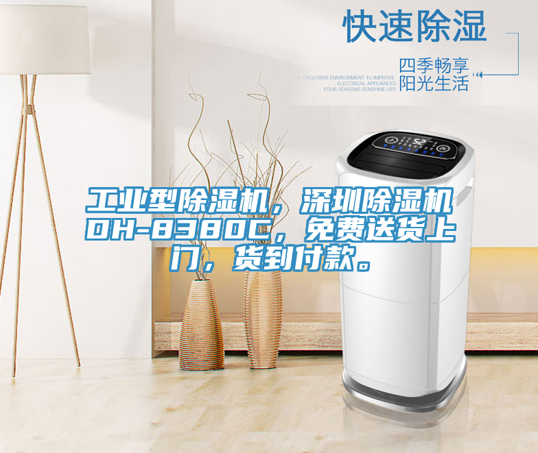 工業(yè)型除濕機(jī)，深圳除濕機(jī)DH-8380C，免費(fèi)送貨上門，貨到付款。