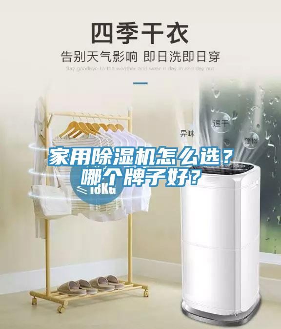 家用除濕機(jī)怎么選？哪個(gè)牌子好？