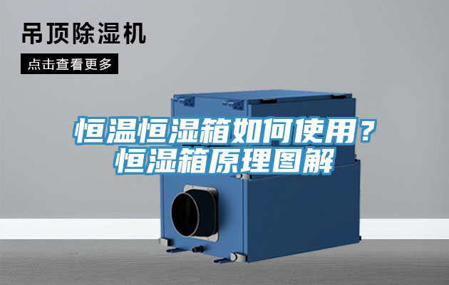 恒溫恒濕箱如何使用？恒濕箱原理圖解