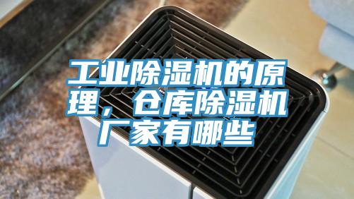 工業(yè)除濕機(jī)的原理，倉(cāng)庫(kù)除濕機(jī)廠家有哪些