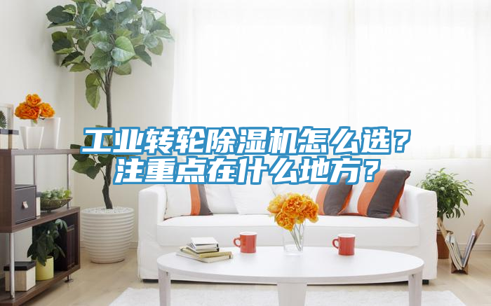 工業(yè)轉(zhuǎn)輪除濕機(jī)怎么選？注重點(diǎn)在什么地方？