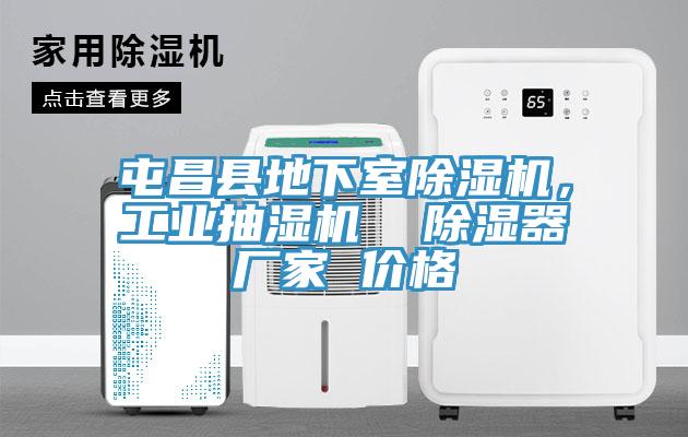 屯昌縣地下室除濕機(jī)，工業(yè)抽濕機(jī)  除濕器廠家 價(jià)格