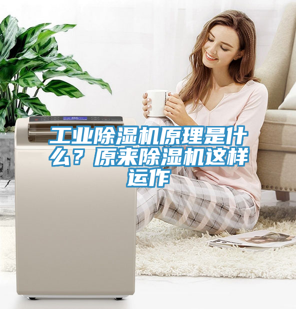 工業(yè)除濕機(jī)原理是什么？原來除濕機(jī)這樣運(yùn)作