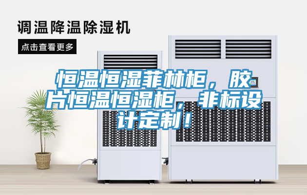 恒溫恒濕菲林柜，膠片恒溫恒濕柜，非標設(shè)計定制！