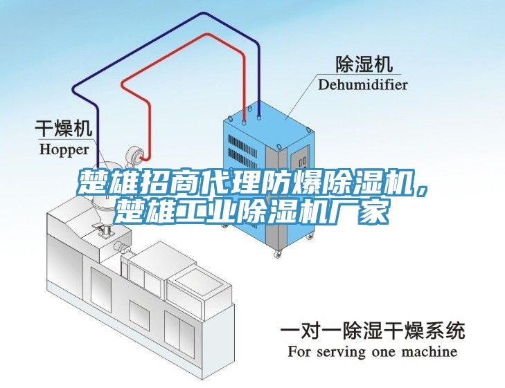 楚雄招商代理防爆除濕機，楚雄工業(yè)除濕機廠家