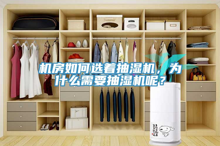 機房如何選著抽濕機，為什么需要抽濕機呢？