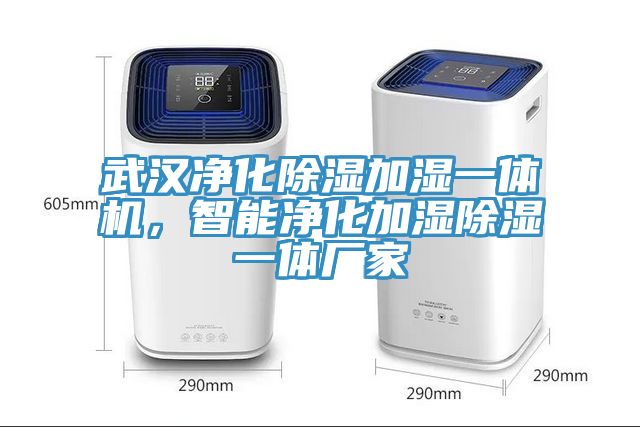 武漢凈化除濕加濕一體機，智能凈化加濕除濕一體廠家