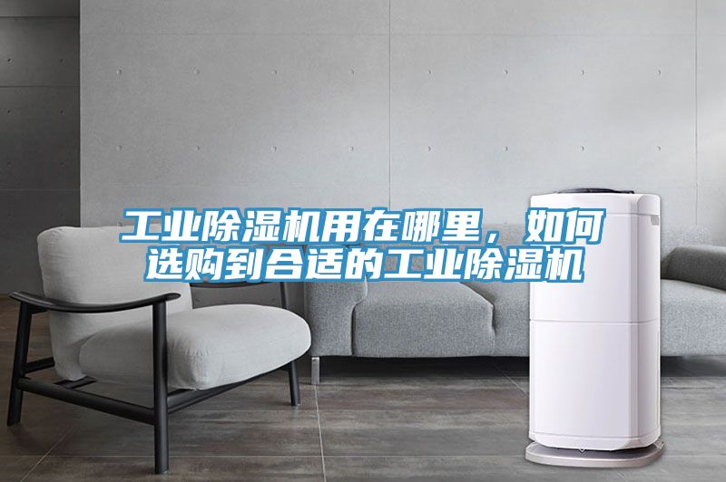 工業(yè)除濕機(jī)用在哪里，如何選購到合適的工業(yè)除濕機(jī)