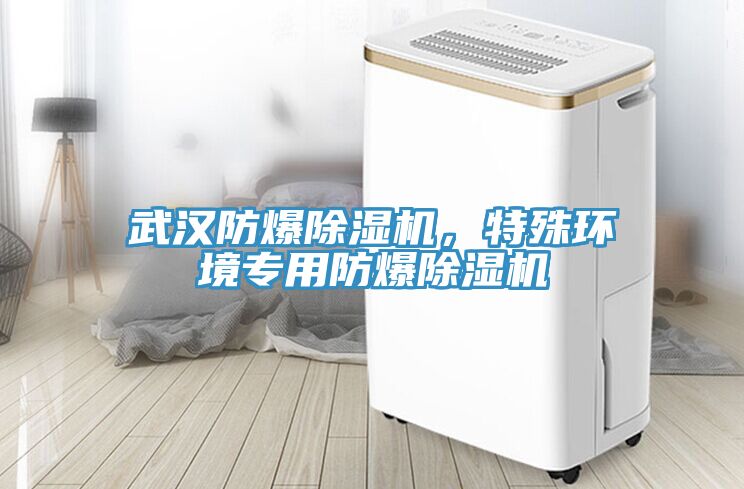 武漢防爆除濕機，特殊環(huán)境專用防爆除濕機