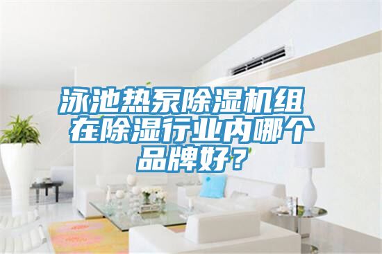 泳池?zé)岜贸凉駲C(jī)組 在除濕行業(yè)內(nèi)哪個(gè)品牌好？