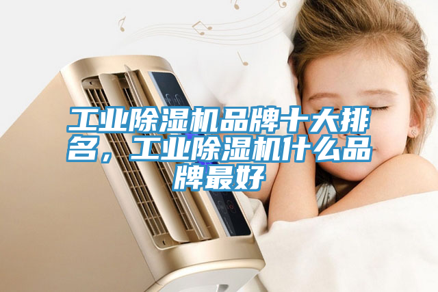 工業(yè)除濕機(jī)品牌十大排名，工業(yè)除濕機(jī)什么品牌最好