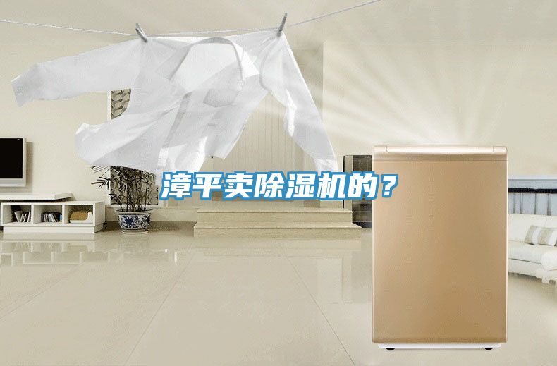 漳平賣除濕機(jī)的？