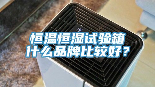 恒溫恒濕試驗(yàn)箱什么品牌比較好？