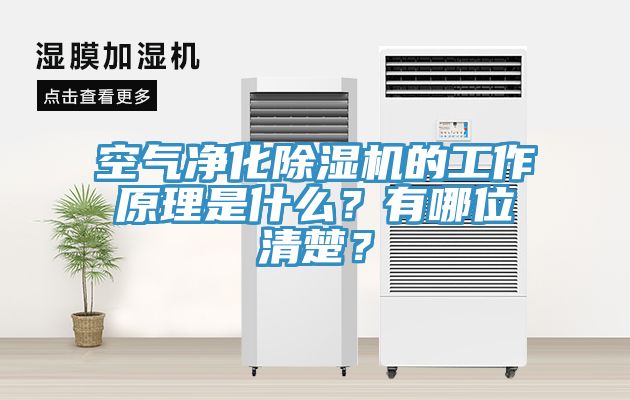 空氣凈化除濕機(jī)的工作原理是什么？有哪位清楚？