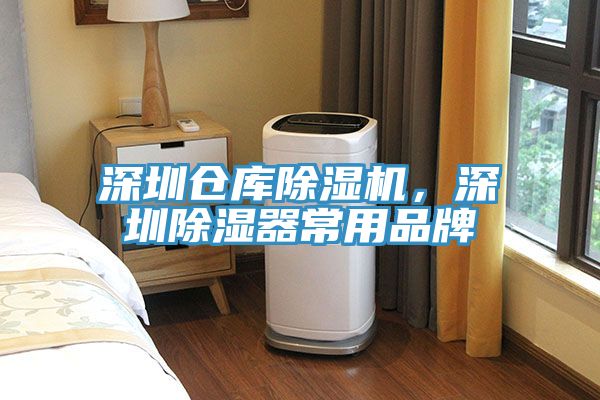 深圳倉(cāng)庫(kù)除濕機(jī)，深圳除濕器常用品牌