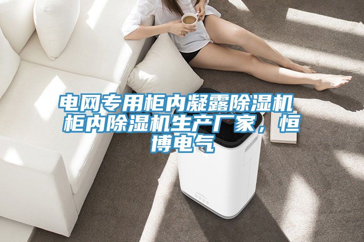 電網(wǎng)專用柜內(nèi)凝露除濕機(jī) 柜內(nèi)除濕機(jī)生產(chǎn)廠家，恒博電氣
