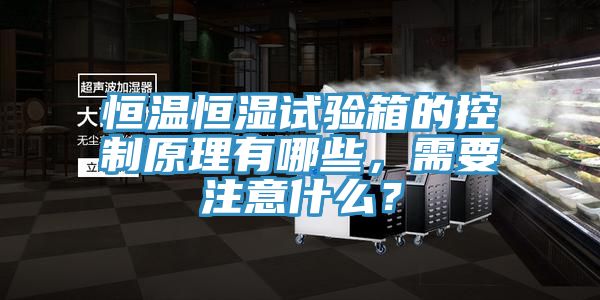 恒溫恒濕試驗(yàn)箱的控制原理有哪些，需要注意什么？