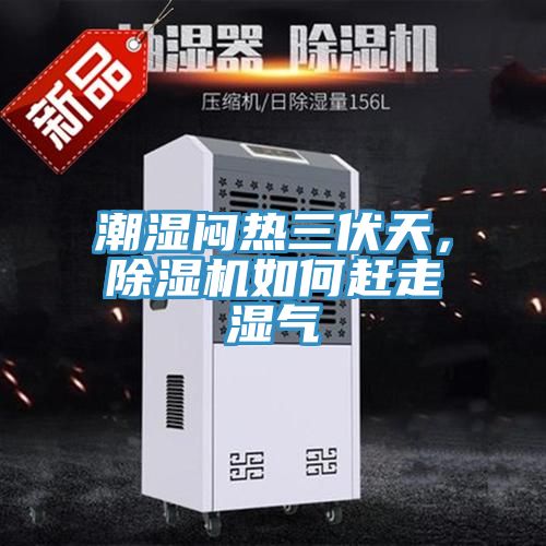 潮濕悶熱三伏天，除濕機(jī)如何趕走濕氣