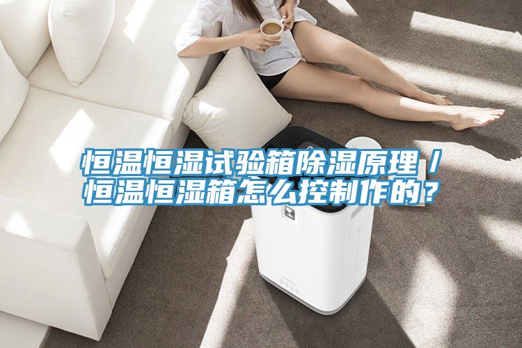 恒溫恒濕試驗箱除濕原理／恒溫恒濕箱怎么控制作的？