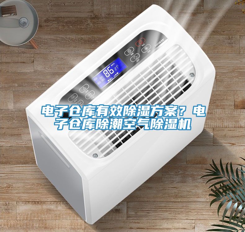 電子倉(cāng)庫(kù)有效除濕方案？電子倉(cāng)庫(kù)除潮空氣除濕機(jī)