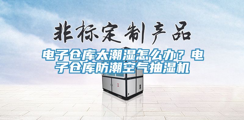 電子倉(cāng)庫(kù)太潮濕怎么辦？電子倉(cāng)庫(kù)防潮空氣抽濕機(jī)