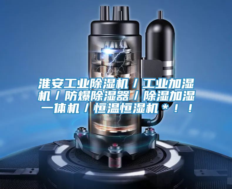 淮安工業(yè)除濕機(jī)／工業(yè)加濕機(jī)／防爆除濕器／除濕加濕一體機(jī)／恒溫恒濕機(jī)＊?。?></div>
								<div   id=