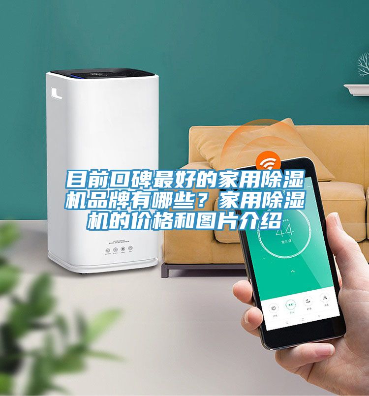 目前口碑最好的家用除濕機(jī)品牌有哪些？家用除濕機(jī)的價(jià)格和圖片介紹