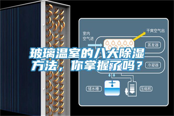 玻璃溫室的八大除濕方法，你掌握了嗎？