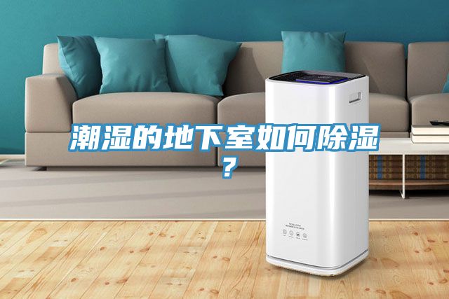 潮濕的地下室如何除濕？