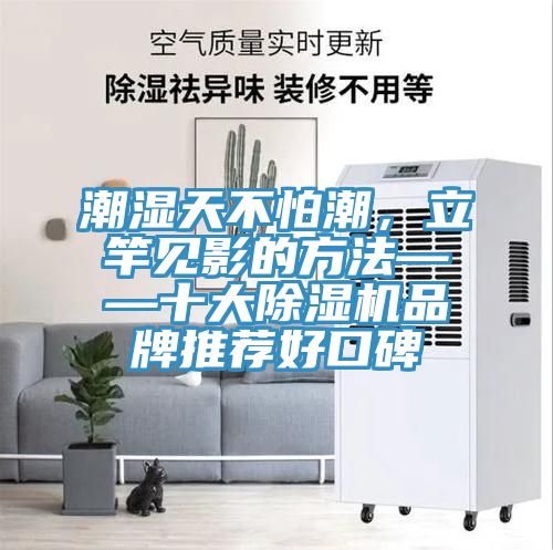 潮濕天不怕潮，立竿見影的方法——十大除濕機品牌推薦好口碑