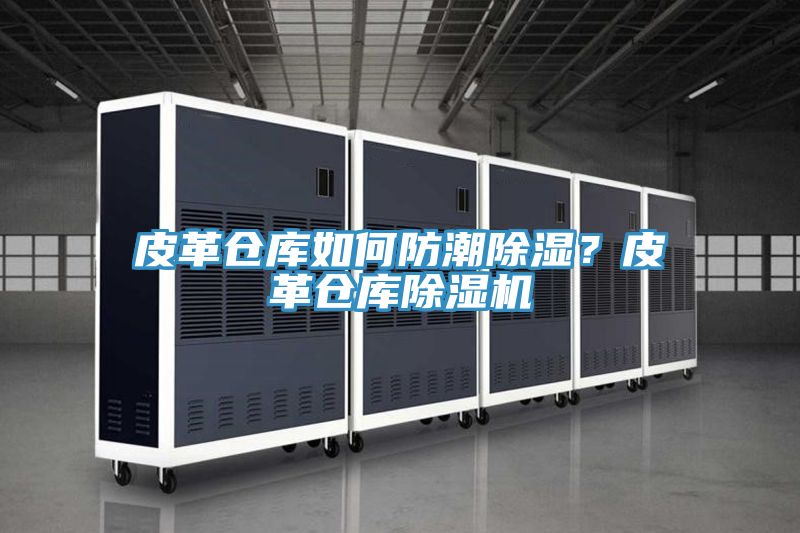 皮革倉(cāng)庫(kù)如何防潮除濕？皮革倉(cāng)庫(kù)除濕機(jī)