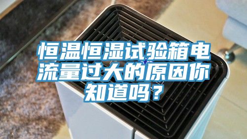 恒溫恒濕試驗(yàn)箱電流量過大的原因你知道嗎？