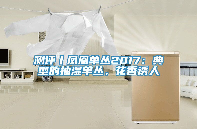 測(cè)評(píng)丨鳳凰單叢2017：典型的抽濕單叢，花香誘人