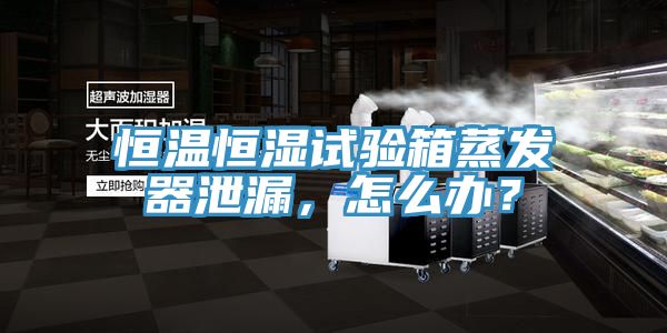 恒溫恒濕試驗箱蒸發(fā)器泄漏，怎么辦？