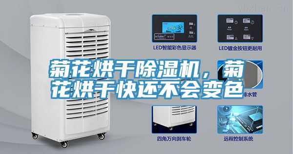 菊花烘干除濕機(jī)，菊花烘干快還不會變色