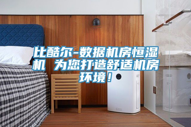 比酷爾-數(shù)據(jù)機房恒濕機 為您打造舒適機房環(huán)境！