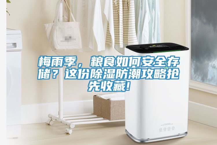 梅雨季，糧食如何安全存儲？這份除濕防潮攻略搶先收藏!