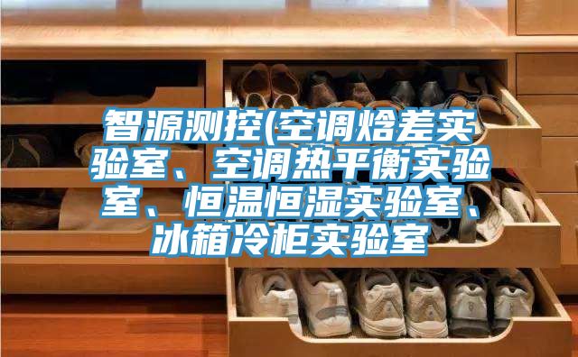 智源測(cè)控(空調(diào)焓差實(shí)驗(yàn)室、空調(diào)熱平衡實(shí)驗(yàn)室、恒溫恒濕實(shí)驗(yàn)室、冰箱冷柜實(shí)驗(yàn)室