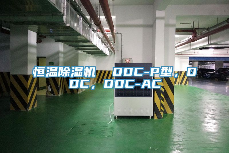 恒溫除濕機(jī)  DDC-P型，DDC，DDC-AC