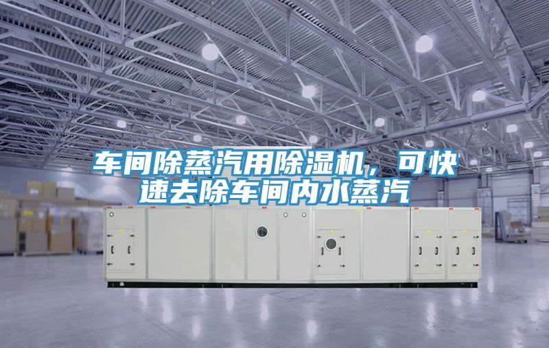 車間除蒸汽用除濕機，可快速去除車間內(nèi)水蒸汽