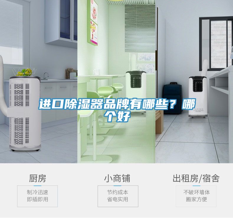 進(jìn)口除濕器品牌有哪些？哪個(gè)好