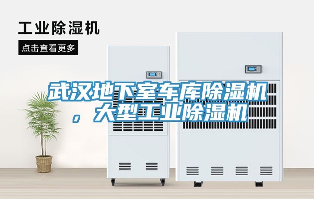 武漢地下室車(chē)庫(kù)除濕機(jī)，大型工業(yè)除濕機(jī)