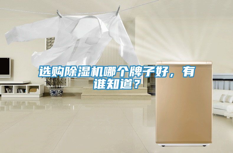 選購(gòu)除濕機(jī)哪個(gè)牌子好，有誰(shuí)知道？