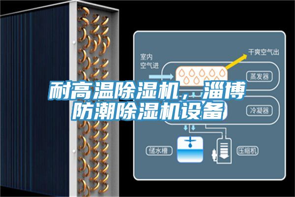 耐高溫除濕機(jī)，淄博防潮除濕機(jī)設(shè)備