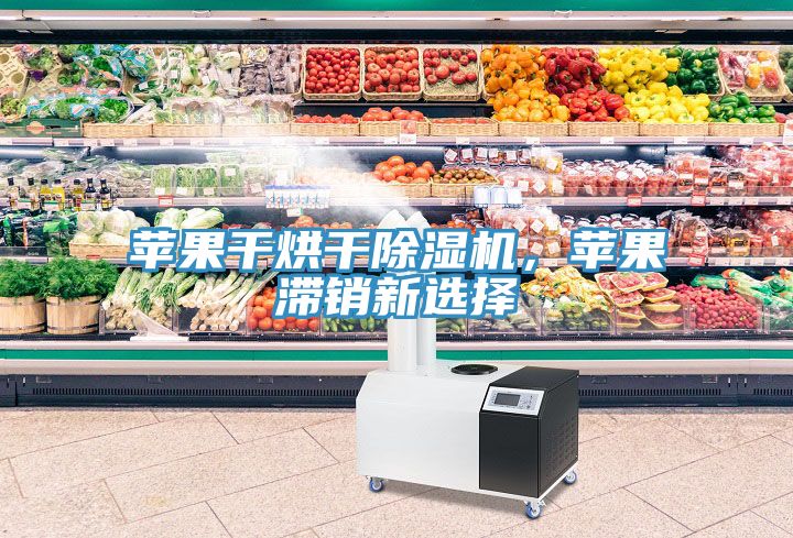 蘋(píng)果干烘干除濕機(jī)，蘋(píng)果滯銷(xiāo)新選擇