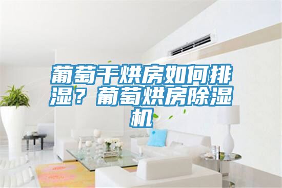 葡萄干烘房如何排濕？葡萄烘房除濕機(jī)